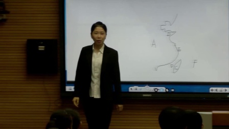 《第一节 海陆分布》优质课教学视频-科普版初中地理七年级上册