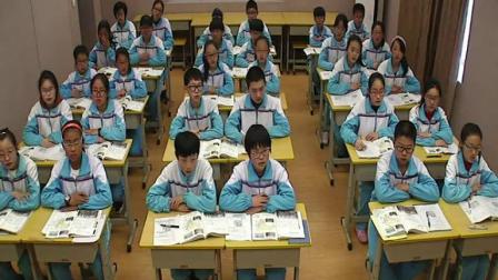 《第三节 撒哈拉以南的非洲》优质课教学视频-鲁教五四学制版初中地理六年级下册