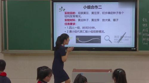 《种子的结构和种子的萌发》大单元教学-人教版生物七年级上册-青年教师赛课视频