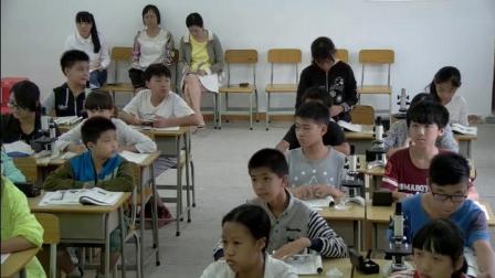 《第二节 植物光合作用的场所》课堂教学实录-苏教版初中生物七年级上册