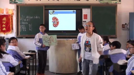 《第2节 尿的形成与排出》课堂教学实录-北师大版初中生物七年级下册