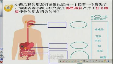 《第二节　消化和吸收》优质课视频-济南版初中生物七年级下册
