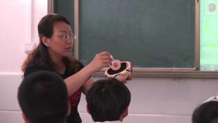 《第三节 人体感知信息》优质课课堂展示视频-苏教版初中生物七年级下册