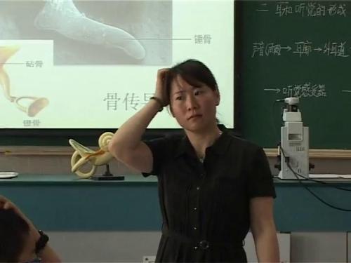北师大版生物七下12.2《耳和听觉》课堂教学视频实录-张丽蓉