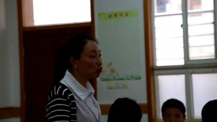 华师大版科学七下2.4《二氧化碳制取探究》课堂教学视频实录-邵琳