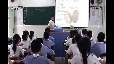 初一科学：种子的结构教学视频
