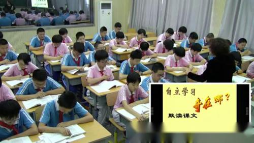 《登勃朗峰》部编版语文八年级下册课堂教学视频实录-执教老师-崔凤杰