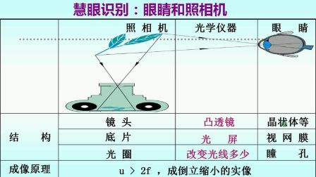 微课评比活动一等奖《眼睛和眼镜》 物理 八下