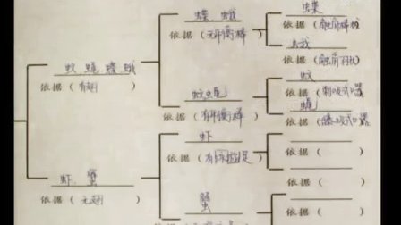 人教版八年级生物上册《尝试对生物进行分类》教学视频,北京市生物八上