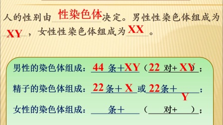 生物中考复习（八下）生物人教版八下