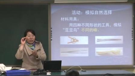 《生物进化的原因》教学实录（北师大版生物八下）生物人教版八下