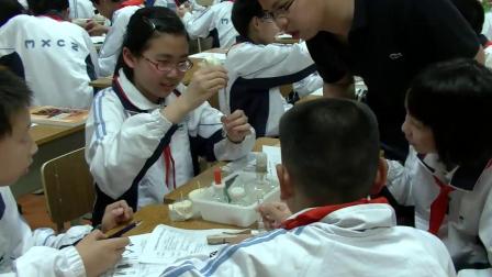 华师大版科学八上5.1《食物的消化与吸收》课堂实录教学视频-焦越