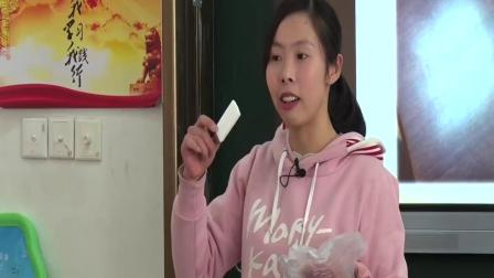 华师大版科学八下4.1《自然界的电现象》课堂教学视频实录-王碧桂