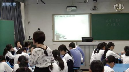 《庄子与惠子游于濠梁》人教版语文九下