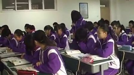 《弘扬和培养民族精神》道德与法治九年级上册（人教版思想品德九年级，天津市静海县模范学校：王彩云）